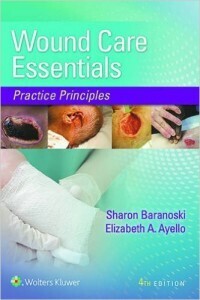 Wound Care Essentials: Practice Principles, Fourth Edition (EPUB)