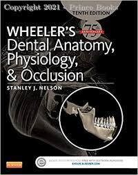 WHEELER&#39;S DENTAL ANATOMY, PHYSIOLOGY AND OCCLUSION, 10E