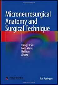 Microneurosurgical Anatomy and Surgical Technique