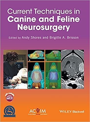 Current Techniques in Canine and Feline Neurosurgery 1st Edition