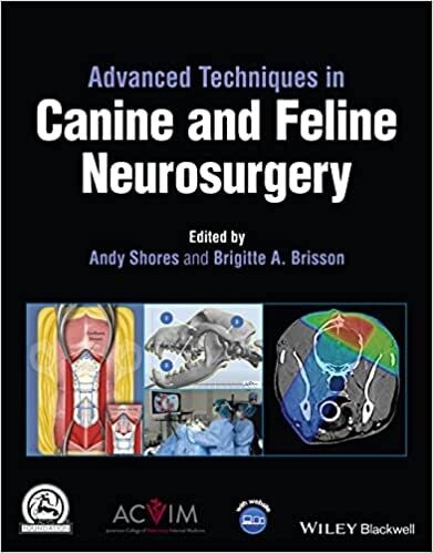 Advanced Techniques in Canine and Feline Neurosurgery 1st Edition