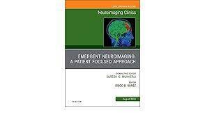 Emergent Neuroimaging: A Patient Focused Approach, An Issue of Neuroimaging Clinics of North America (Volume 28-3)