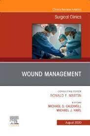 Wound Management, An Issue of Surgical Clinics (Volume 100-4)