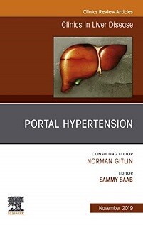 Portal Hypertension, An Issue of Clinics in Liver Disease (Volume 23-4)