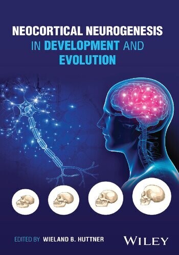 Neocortical Neurogenesis in Development and Evolution
1st Edition