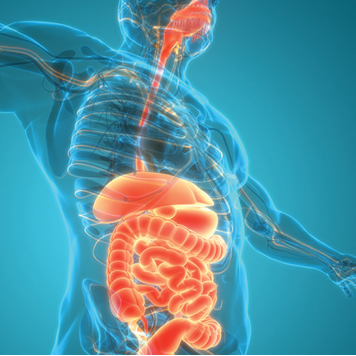 Gastroenterology and Hepatology Board Review 2023 (Oakstone CME Videos)