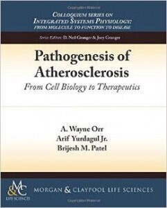 Pathogenesis of Atherosclerosis From Cell Biology to Therapeutic