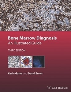 Bone Marrow Diagnosis An Illustrated Guide 3rd Edition