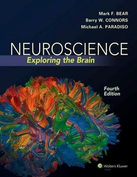 Neuroscience Exploring the Brain 4th Edition