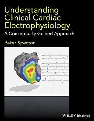 Understanding Clinical Cardiac Electrophysiology: A Conceptually Guided Approach