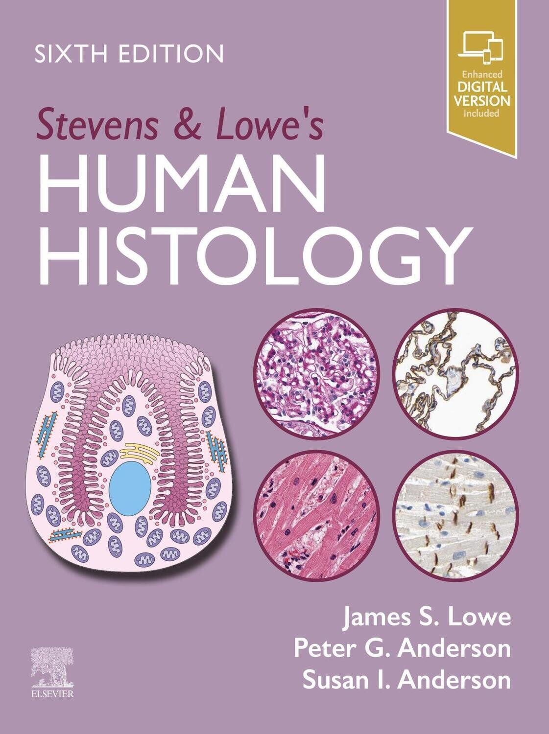 Stevens &amp; Lowe’s Human Histology, 6th Edition