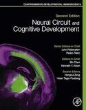 Neural Circuit and Cognitive Development: Comprehensive Developmental Neuroscience 2nd Edition