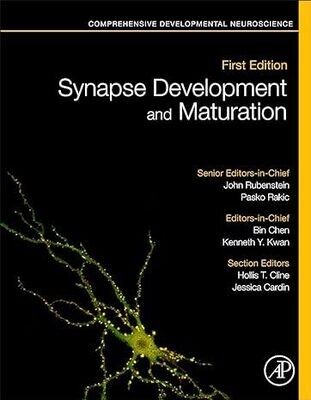 Synapse Development and Maturation: Comprehensive Developmental Neuroscience 1st Edition