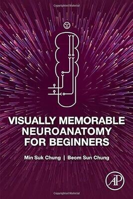 Visually Memorable Neuroanatomy for Beginners