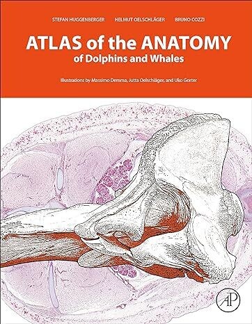Atlas of the Anatomy of Dolphins and Whales 1st Edition