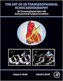 The art of 2D transesophageal echocardiography 2024