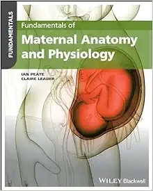 Fundamentals Of Maternal Anatomy And Physiology