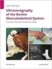 Ultrasonography Of The Bovine Musculoskeletal System: Indications, Examination Protocols, Findings