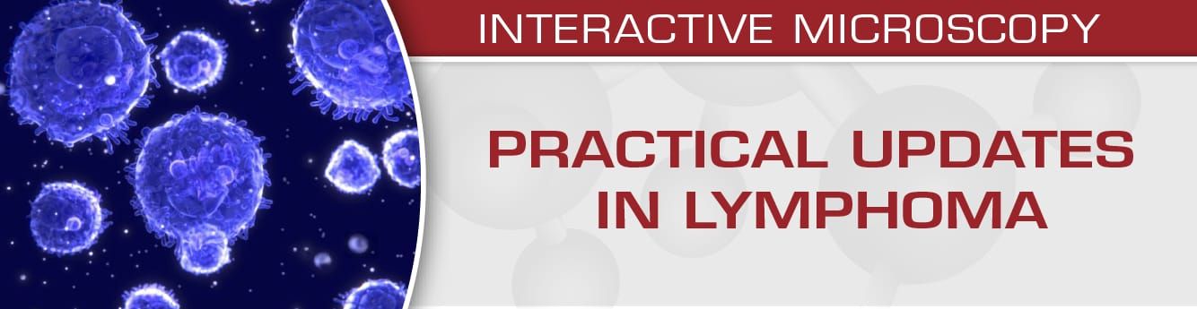 USCAP Practical Updates In Lymphoma 2018 (Videos)