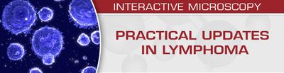 USCAP Practical Updates In Lymphoma 2018 (Videos)