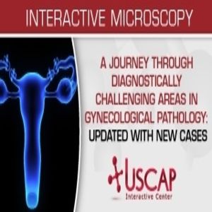 A journey through diagnostically challenging areas in gynecological pathology