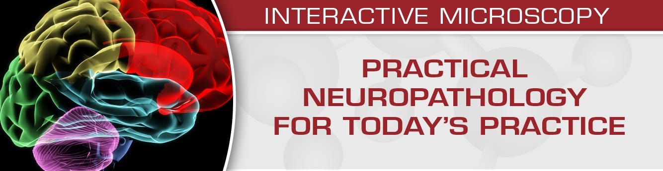 USCAP Practical Neuropathology For Today’s Practice – Interactive Microscopy 2019 (Videos)