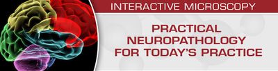 USCAP Practical Neuropathology For Today’s Practice – Interactive Microscopy 2019 (Videos)