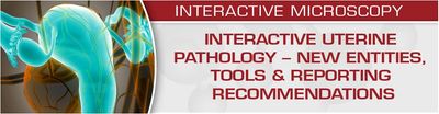USCAP Interactive Uterine Pathology – New Entities, Tools &amp; Reporting Recommendations 2020 (Videos)