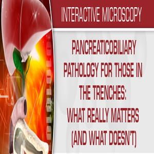Pancreaticobiliary Pathology For Those In The Trenches What Really Matters (And What Doesn’t) 2020 (Videos)