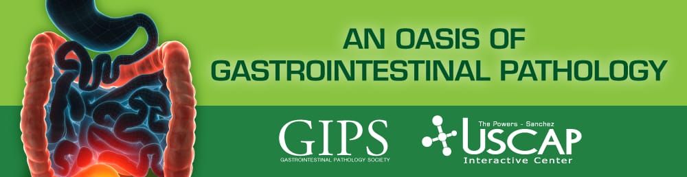 An Oasis Of Gastrointestinal Pathology 2020