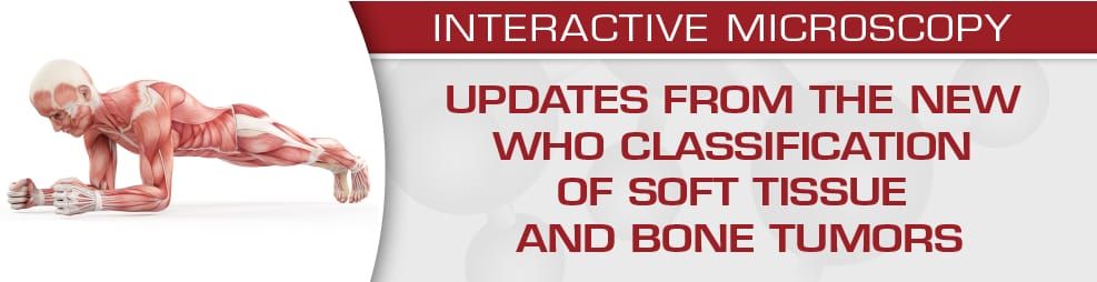 USCAP Updates From The New WHO Classification Of Soft Tissue And Bone Tumors 2020 (Videos)