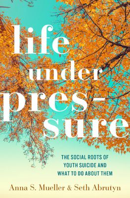 Life Under Pressure: The Social Roots Of Youth Suicide And What To Do About Them