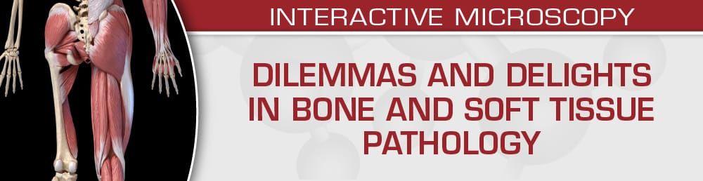 USCAP Dilemmas And Delights In Bone And Soft Tissue Pathology 2023 (Videos)