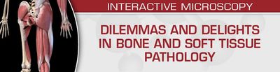 USCAP Dilemmas And Delights In Bone And Soft Tissue Pathology 2023 (Videos)