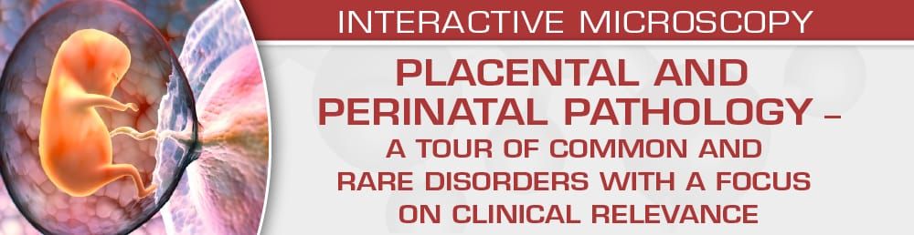 USCAP Placental And Perinatal Pathology A Tour Of Common And Rare Disorders With A Focus On Clinical Relevance 2023 (Videos)