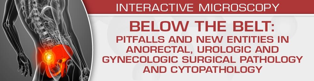 USCAP BELOW THE BELT: Pitfalls And New Entities In Anorectal, Urologic And Gynecologic Surgical Pathology And Cytopathology 2023