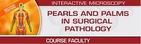 Pearls And Palms In Surgical Pathology 2023, Second Edition – USCAP (Videos)