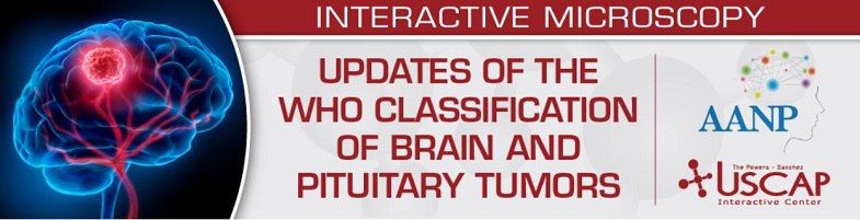 Updates Of The WHO Classification Of Brain And Pituitary Tumors 2024 – USCAP (Videos)