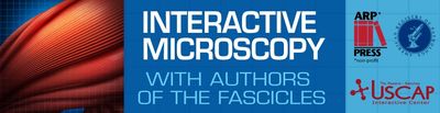 USCAP Interactive Microscopy With Authors Of The Fascicles 2020 (Videos)