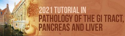 Mesenchymal Tumors of the GI Tract – Real Estate is Everything