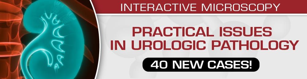 Practical Issues In Urologic Pathology – 40 New Cases! 2021 (Videos)