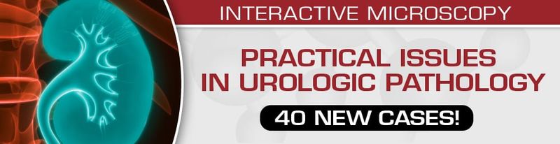Practical Issues In Urologic Pathology – 40 New Cases! 2021 (Videos)
