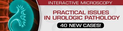 Practical Issues In Urologic Pathology – 40 New Cases! 2021 (Videos)