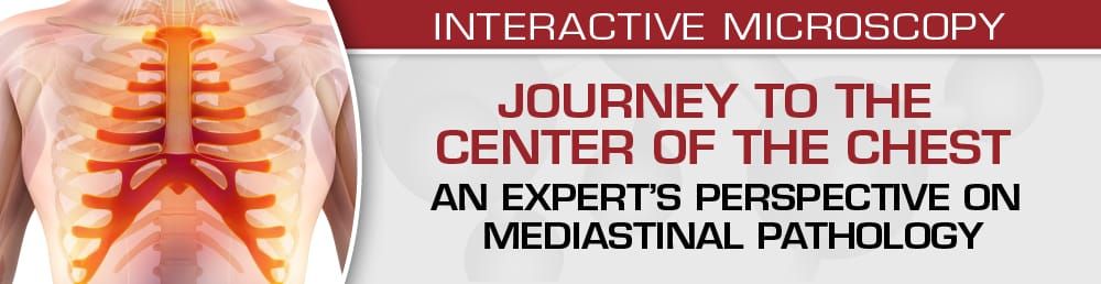 Journey To The Center Of The Chest: An Expert’s Perspective On Mediastinal Pathology 2023 – USCAP (Videos)