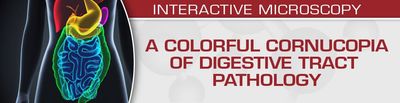 A Colorful Cornucopia Of Digestive Tract Pathology 2022