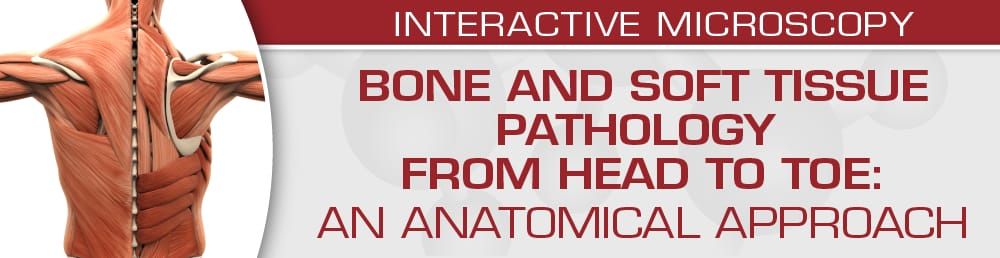 USCAP Bone And Soft Tissue Pathology From Head To Toe: An Anatomical Approach 2022