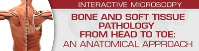 USCAP Bone And Soft Tissue Pathology From Head To Toe: An Anatomical Approach 2022