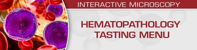 USCAP Hematopathology Tasting Menu: A Sampling Of Delightful Diagnostic Challenges 2021 (Videos)