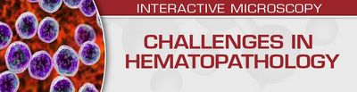 Challenges In Hematopathology 2022