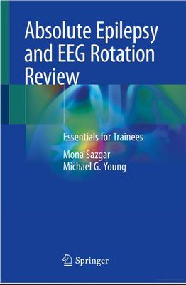 Absolute Epilepsy and EEG Rotation Review: Essentials for Trainees